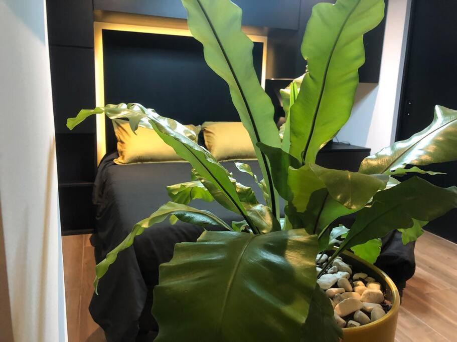 Black Loft. Moderno Y Nuevo, Super Ubicado. เม็กซิโกซิตี้ ภายนอก รูปภาพ